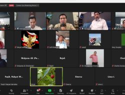 Peran MK Sebagai Benteng Konstitusi Dipertanyakan