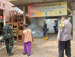 Basmi Nyamuk di Sekolah SDN 01 Cibarusah Babinsa Dampingi Langsung Kegiatan Fogging