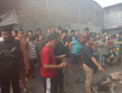 Satu Tewas dan Kritis, Dua Pelaku Ranmor Diamuk Massa