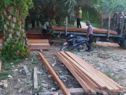 Diduga Hasil Illegal Logging, Polisi Amankan 1158 Kayu Olahan