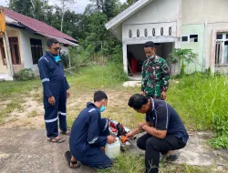 Peduli DBD di Perbatasan, Satgas Pamtas RI Malaysia Yon Armed 16 TK Berkerjasama Dengan Tim Karantina Kesehatan Melaksanakan Foging