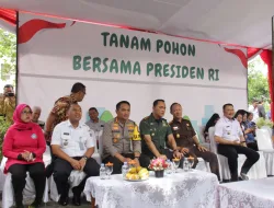 11 Pohon Pule Ditanam di Lingkungan Kantor Walkot Jakbar