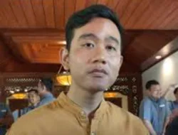 Gibran Ingin Bangun Rumah Sakit Unggulan di Tiap Kabupaten, Contoh RS Emirates di Solo