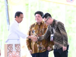 Presiden Jokowi Sambut Baik Kontribusi Investor Lokal dalam Pembangunan IKN