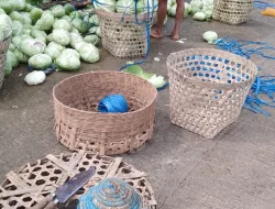 Relawan Prabowo Borong Sayur dari Petani Sumbing, Kopeng, Boyolali dan Dibagi ke Kaum Dhuafa