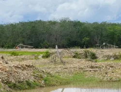 Polsek Benai Lakukan Operasi Penertiban PETI di Desa Gunung Kesiangan