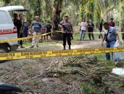 Remaja di Rohul Tewas Ditebas Teman gegara Dituduh Ambil Brondolan Sawit