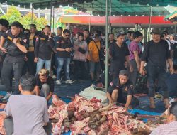 Berbagi Kebahagiaan Dengan 5 Ribu Masyarakat Dalam Perayaan Idul Adha, DPC GRIB Jaya Kota Medan dan 21 PAC Qurban 40 Ekor Sapi