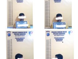 Curi Buah Sawit, Warga Jalan Famili Serusa Diringkus Polisi