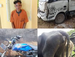 Pelaku dan Barang Bukti Pencurian Hewan Ternak Diserahkan Massa Ke Polsek Tapung Hilir 