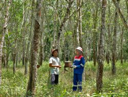 PGN Punya 4 Desa Binaan Unggulan, Usung Beragam Inovasi Sosial