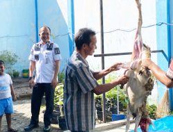 Rudenim Medan Semarakkan Hari Raya Idul Adha 1445 H Dengan Pemotongan Hewan Qurban