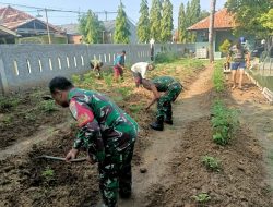 Urban Farming Koramil 11 Pebayuran Ajak Masyarakat Tanam Ratusan Tanaman Cabai