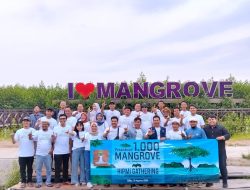 BPC HIPMI Kabupaten Tangerang, Lakukan Gerakan Tanam 1000 Pohon Mangrove