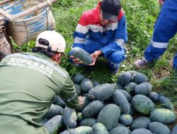 PGN Pagardewa Dorong Petani Karet Terapkan Wanatani