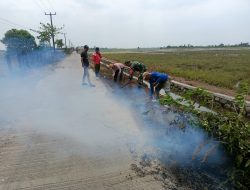 Serma Martias Pimpin Kerja Bakti Bersihkan Jalan dari Rumput Liar