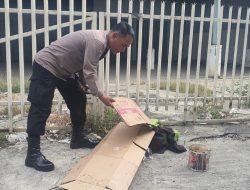 Penemuan Mayat Pemulung di Depan Bekas Gudang Semen Gegerkan Warga Jalan Sholeh Iskandar