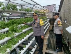 Kapolsek Ciledug Cek Ketahanan Pangan di KWT Belimbing Parung Serab