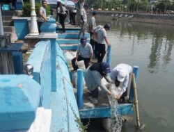 Komitmen Bhirawa Steel Untuk Ekosistem Seimbang, Pelepasan Ikan di Monkasel Surabaya