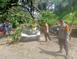 Polsek Ciawi Bersama Instansi Terkait Tangani Evakuasi Adanya Pohon Tumbang Di Jalan Raya Mayjen HE. Sukma Ciawi