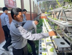 Hidroponik, Langkah Progresif Rutan Bangil dalam Mendukung Program Pemasyarakatan