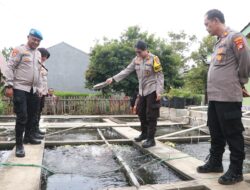 Wakapolres Metro Tangerang Kota Diskusi Ketahanan Pangan di KWT Blimbing Ciledug