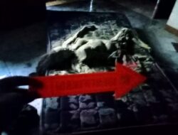 Misteri Mayat Membusuk di Rumah Kosong, Polisi Lakukan Penyelidikan
