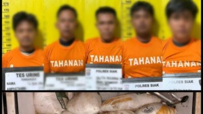 Polsek Minas Ungkap Kasus Penggelapan Pupuk Milik PT Arara Abadi