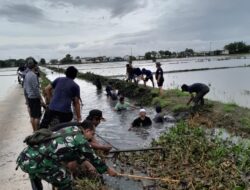 Berantas Sampah Eceng Gondok, Babinsa dan Warga Desa Karangjaya Terjun Ke Kali