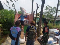 Panen Aman, Harga Stabil: Peran Babinsa Desa Bantarsari Kunci Kelancaran Serapan Gabah