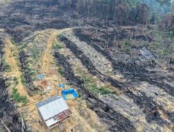 Polres Rohul Tangkap Pelaku Pembakaran Lahan di Hutan Produksi Terbatas (HPT) Tanjung Medan