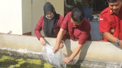 Penaburan Ikan Nila, Langkah Nyata Rutan Bangil Menuju Pemasyarakatan Produktif