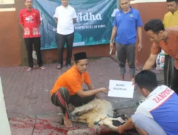 Peringati Idul Adha, Rutan Bangil Sembelih 14 Ekor Kambing Qurban Idul Adha 1446 H