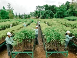 Komitmen Jaga Lingkungan, MIND ID Targetkan Penurunan Emisi 21,4% pada 2030