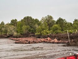 Seorang Pria Diamankan Polsek Sungai Apit Diduga Curi 200 Tual Sagu di Kampung Penyengat