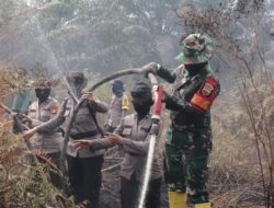 Srikandi Danramil  Bangko dan Polwan Polres Rohil Aktif Memadamkan Karhutla di Rohil