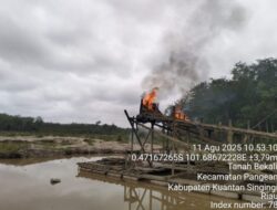 Hari Ke-12 Operasi Peti Kuantan 2025, Polda Riau dan Polres Kuantan Singingi Musnahkan 7 Rakit Peti