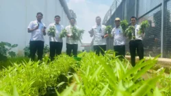 Dukung Program Ketahanan Pangan Nasional, Rutan Depok Panen Kangkung dan Terong
