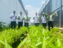 Dukung Program Ketahanan Pangan Nasional, Rutan Depok Panen Kangkung dan Terong