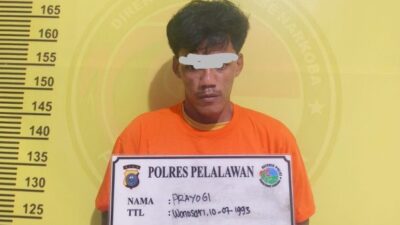 Sita 17 Paket Siap Edar, Satresnarkoba Polres Pelalawan Amankan Pengedar Sabu di Kecamatan Langgam