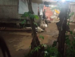 Pemilik Proyek Peternakan Ayam di Tajurhalang Lakukan Diskriminasi dan Sebut wartawan Anjing dan Monyet