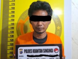 Tim Elang Kuantan Polres Kuansing Ungkap Kasus Penyalahgunaan Ganja, Seorang Pelaku Diamankan di Perkebunan Sawit