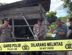 Anak Gajah Ditemukan Mati di Tesso Nilo, Kapolda Riau Turun ke Lokasi