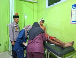 Istirahat di Atas Pompong, Warga di Kuala Kampar Diserang Harimau Sumatera