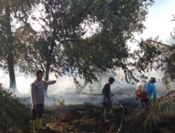 Gerak Cepat Polsek Bungaraya Padamkan Titik Api di Kampung Benayah, Karhutla Berhasil Dikendalikan