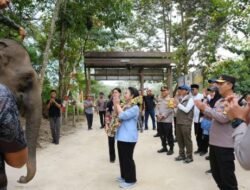 Dukung Pelestarian Gajah Hingga Tanam Pohon, Kapolri-Titiek Soeharto Tinjau TNTN