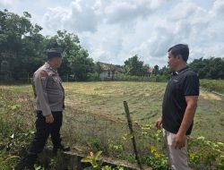 Guna Wujudkan Swasembada Pangan Bhabinkamtibmas dan Kelompok Tani Pastikan Perkembangan Jagung Pipil Seluas 1 H
