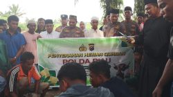 Wakapolres Rohil Hadiri Pemotongan Hewan Qurban di Bagan Cempedak, Salah Satunya Sumbangan Kapolda Riau