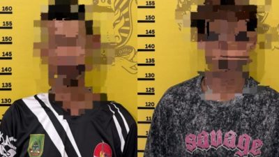 Satreskrim Polres Rohil Ungkap Kasus Curat di Cempedak Rahuk, 2 Pelaku Diamankan