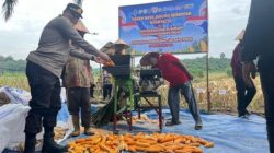 Kapolsek Kerumutan Hadiri Panen Raya Jagung Serentak Kuartal II Polres Pelalawan